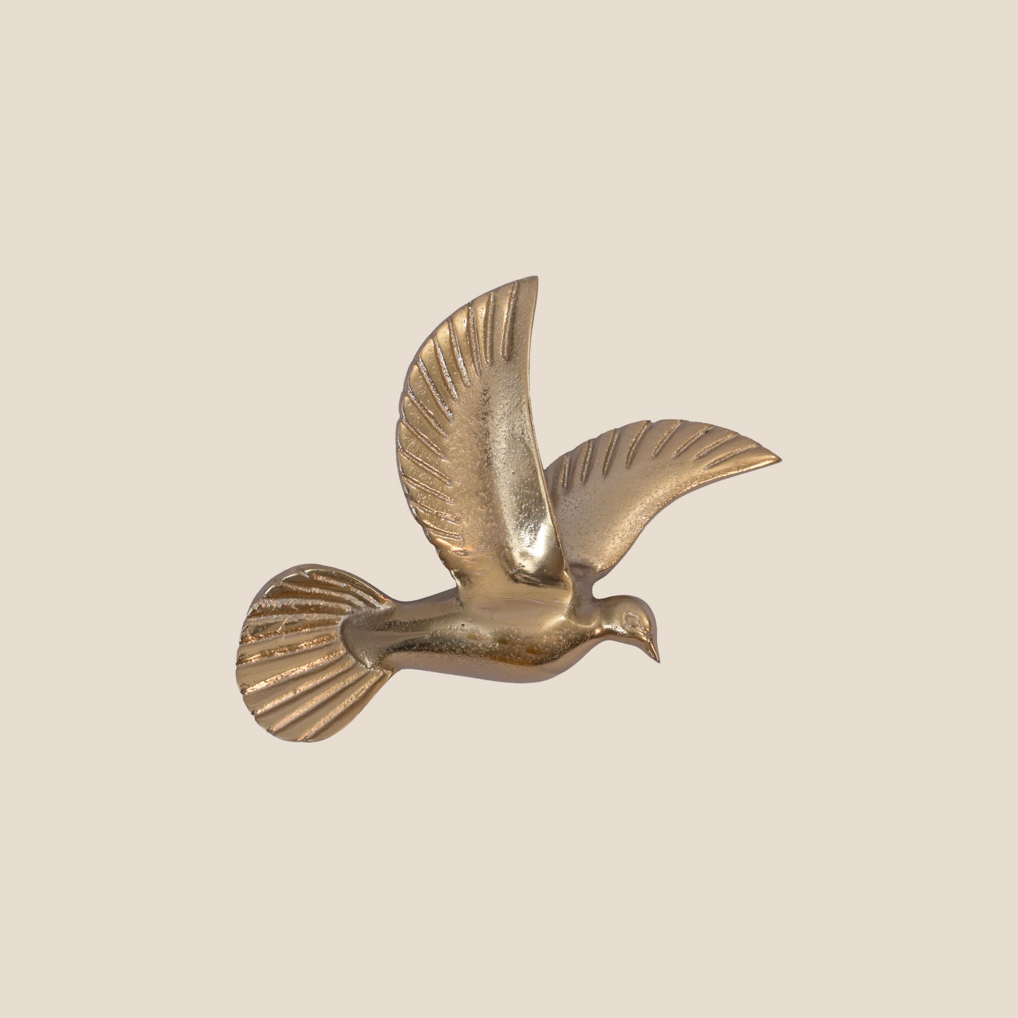Golden Flight Series - Soar