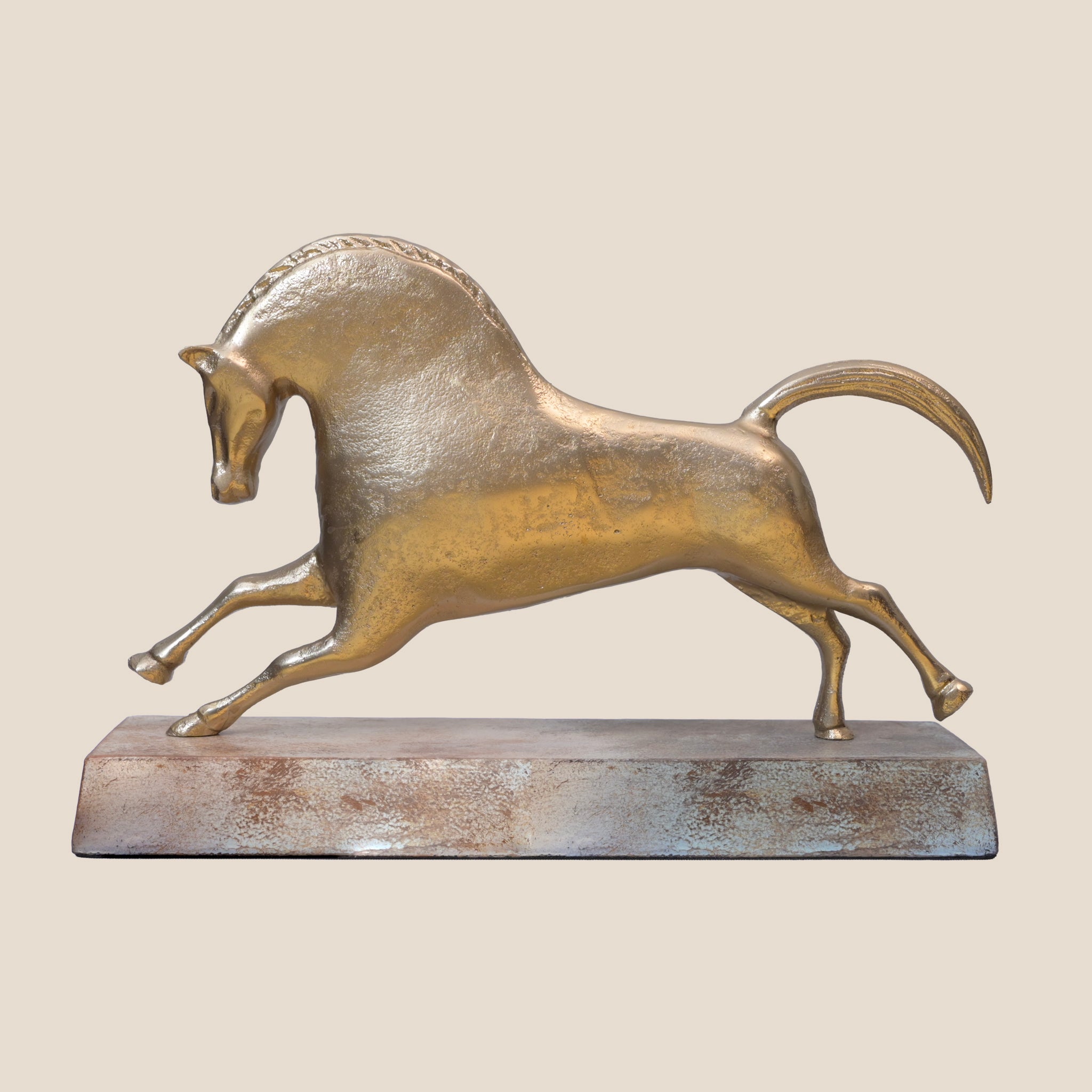 The Aurelia Gallop