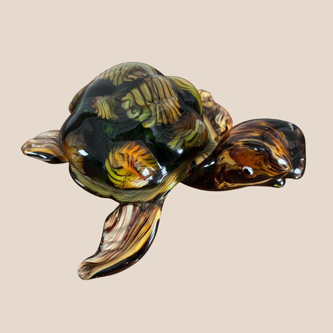 Amber Tide Turtle (Delivery only for DELHI NCR )