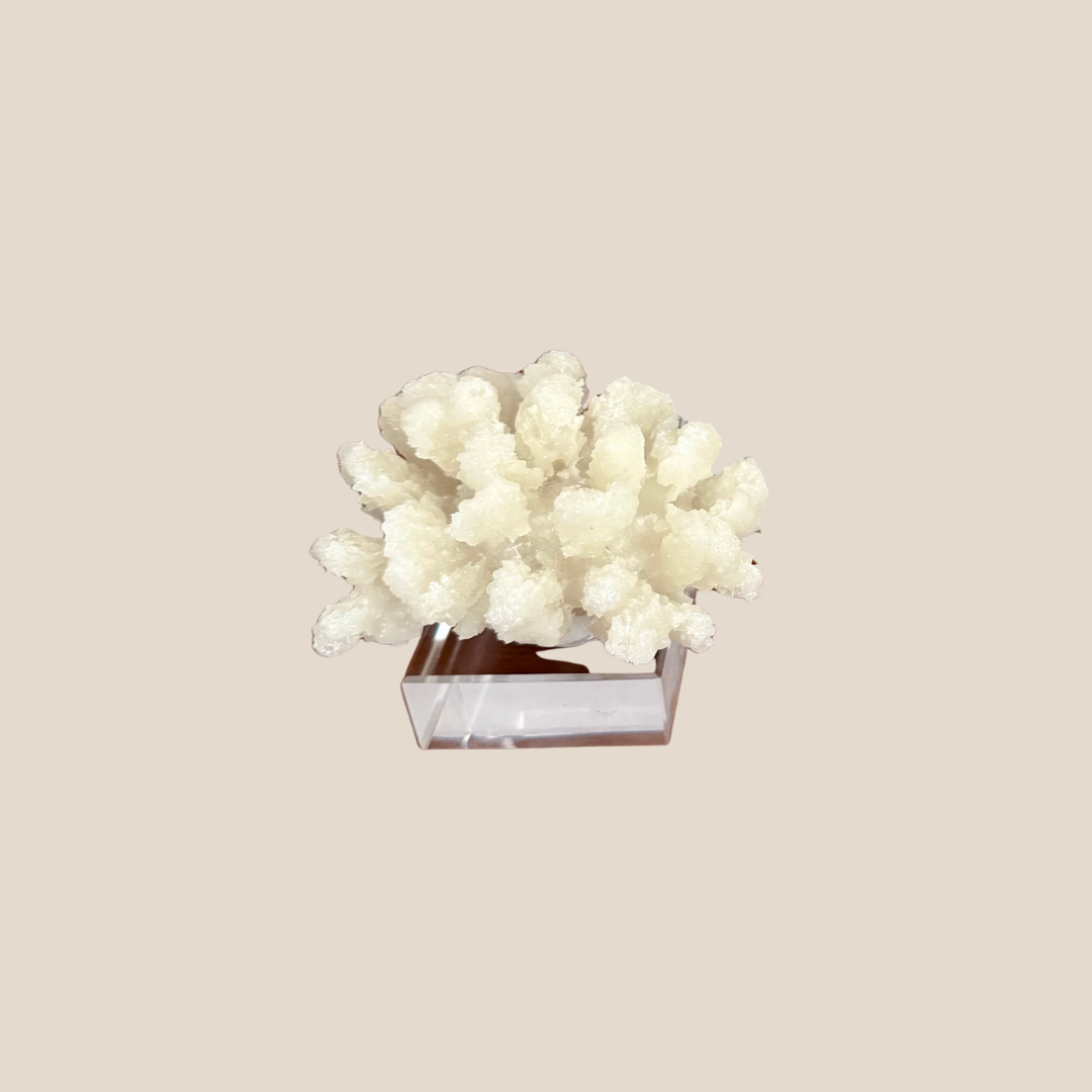 The Coral Bloom - Small