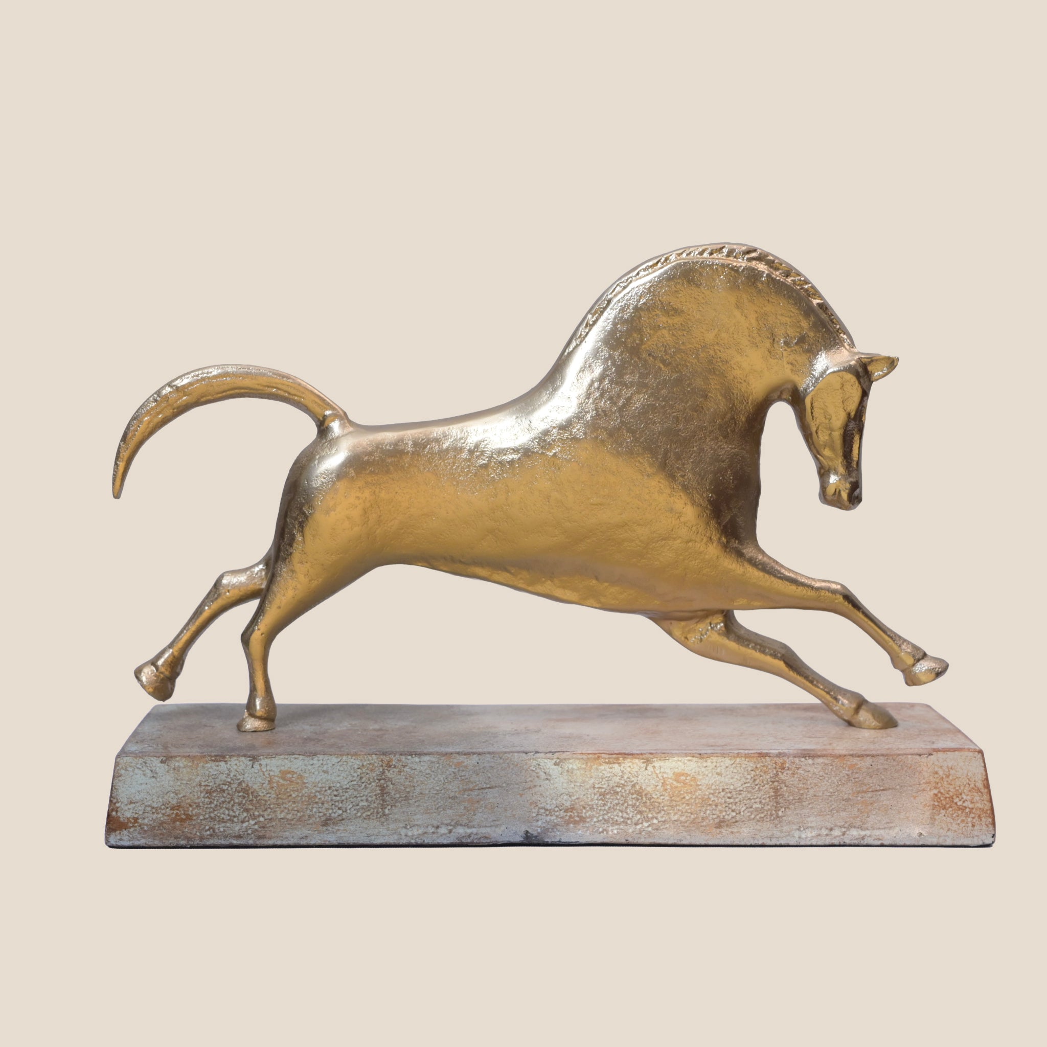 The Aurelia Gallop