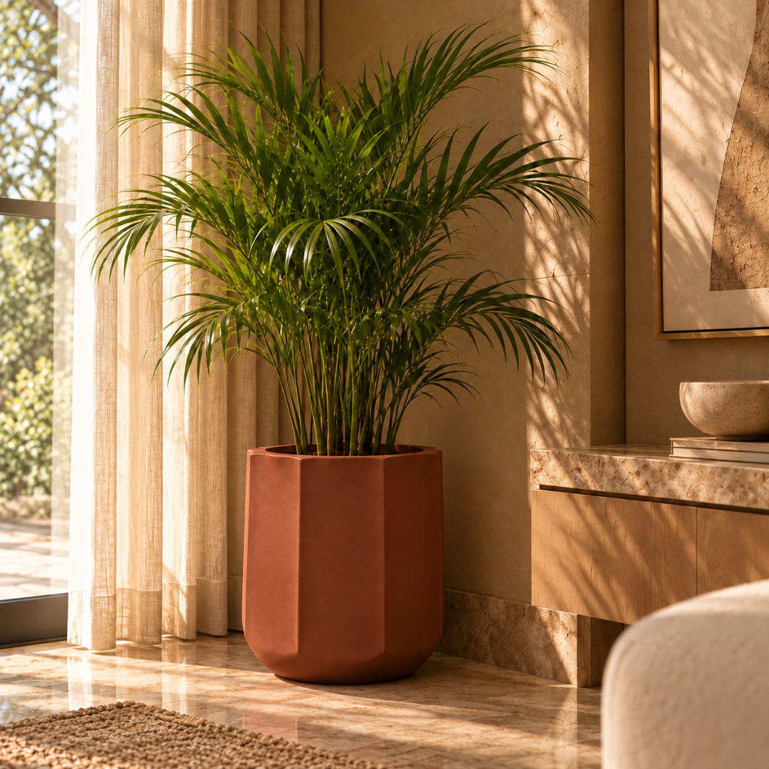 Terracotta Facet Planter