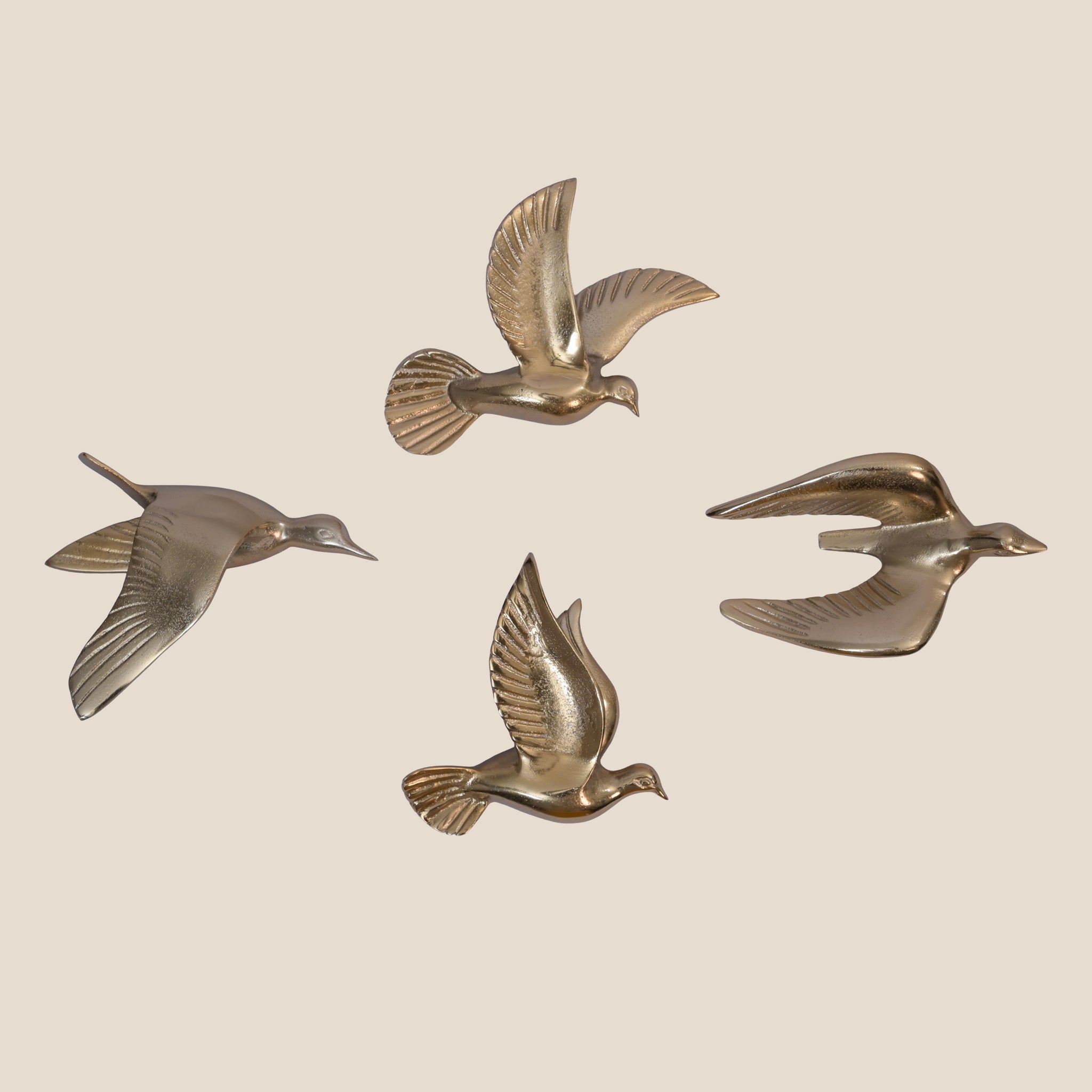 Golden Flight Series - Rise