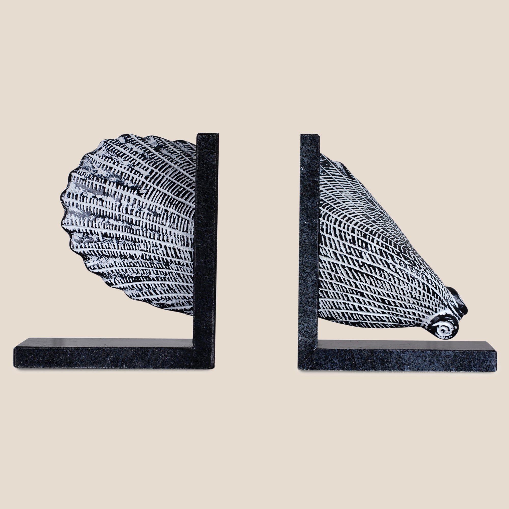 Shell Bookend