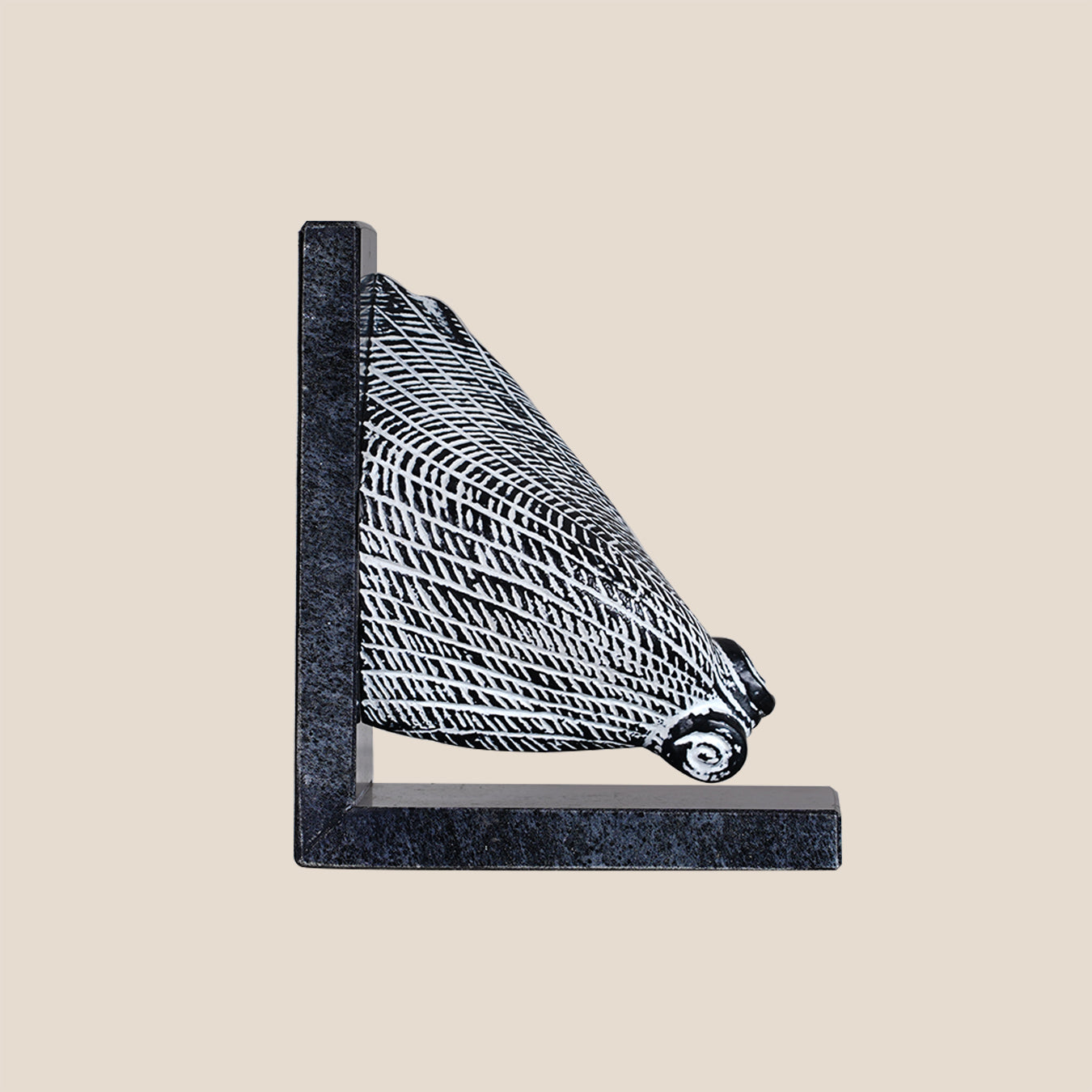 Shell Bookend