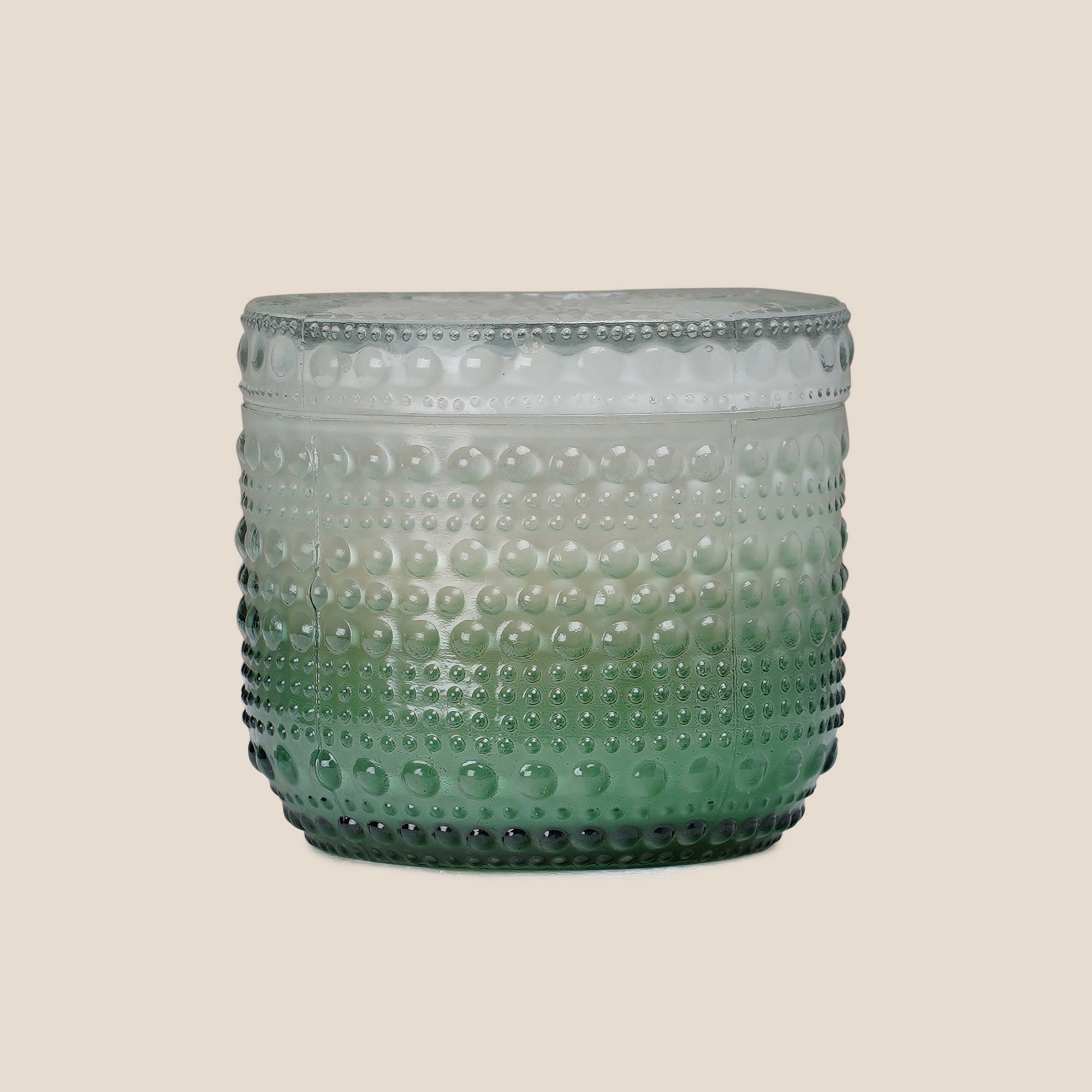 Dimpled Glow Frosted Fern (Set of 2)