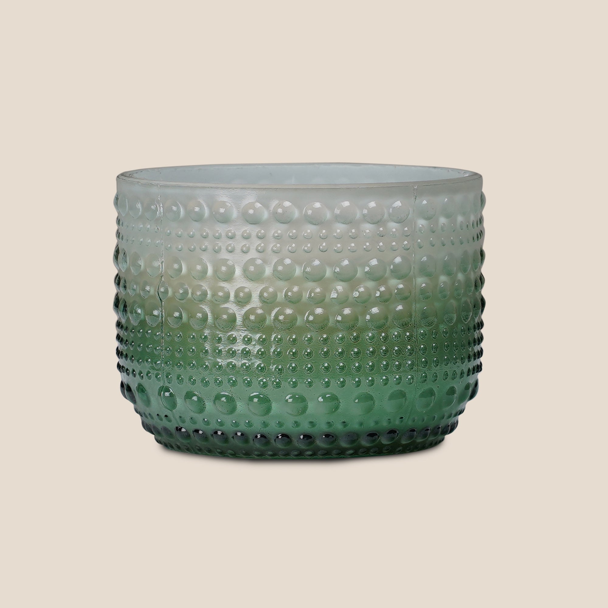 Dimpled Glow Frosted Fern (Set of 2)