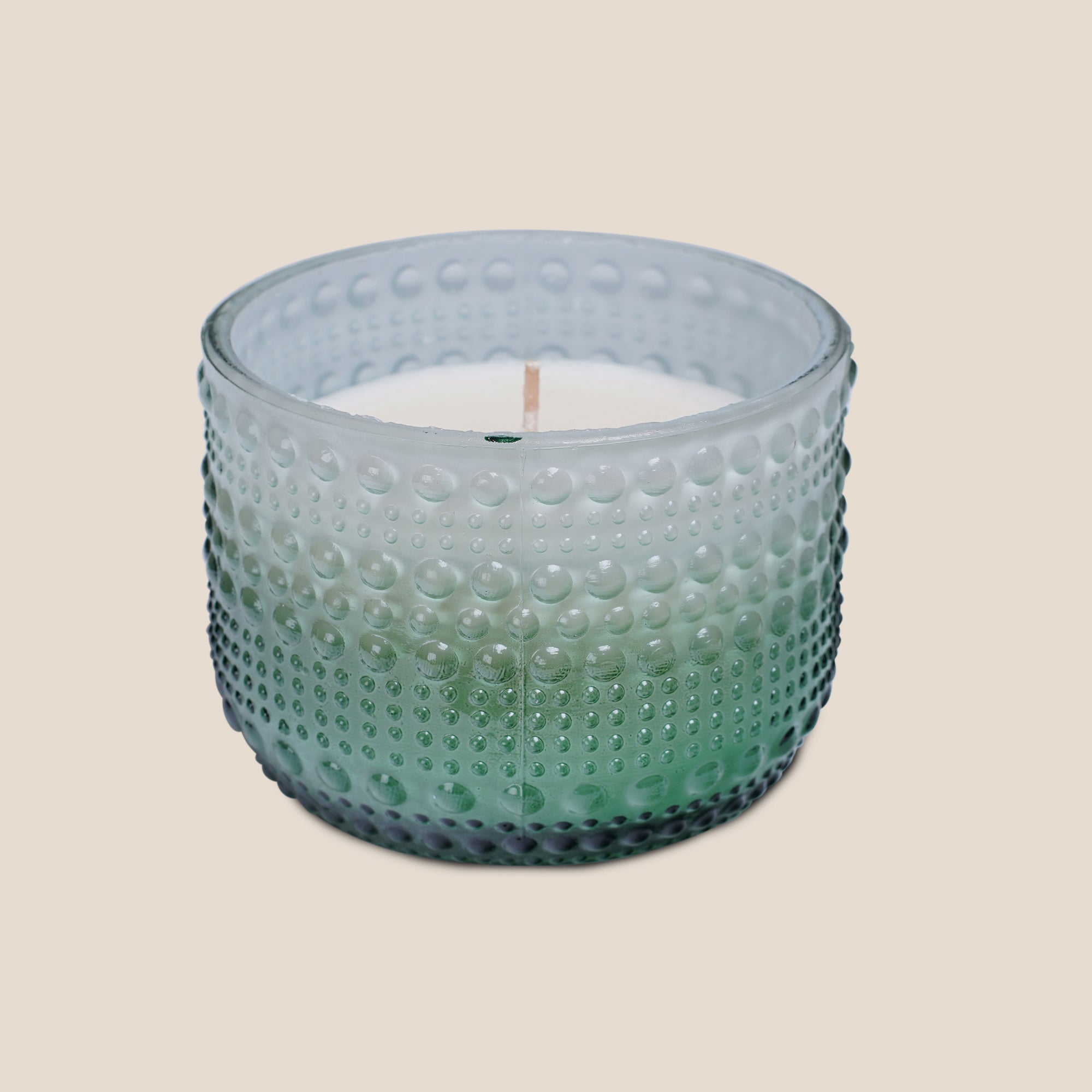 Dimpled Glow Frosted Fern (Set of 2)