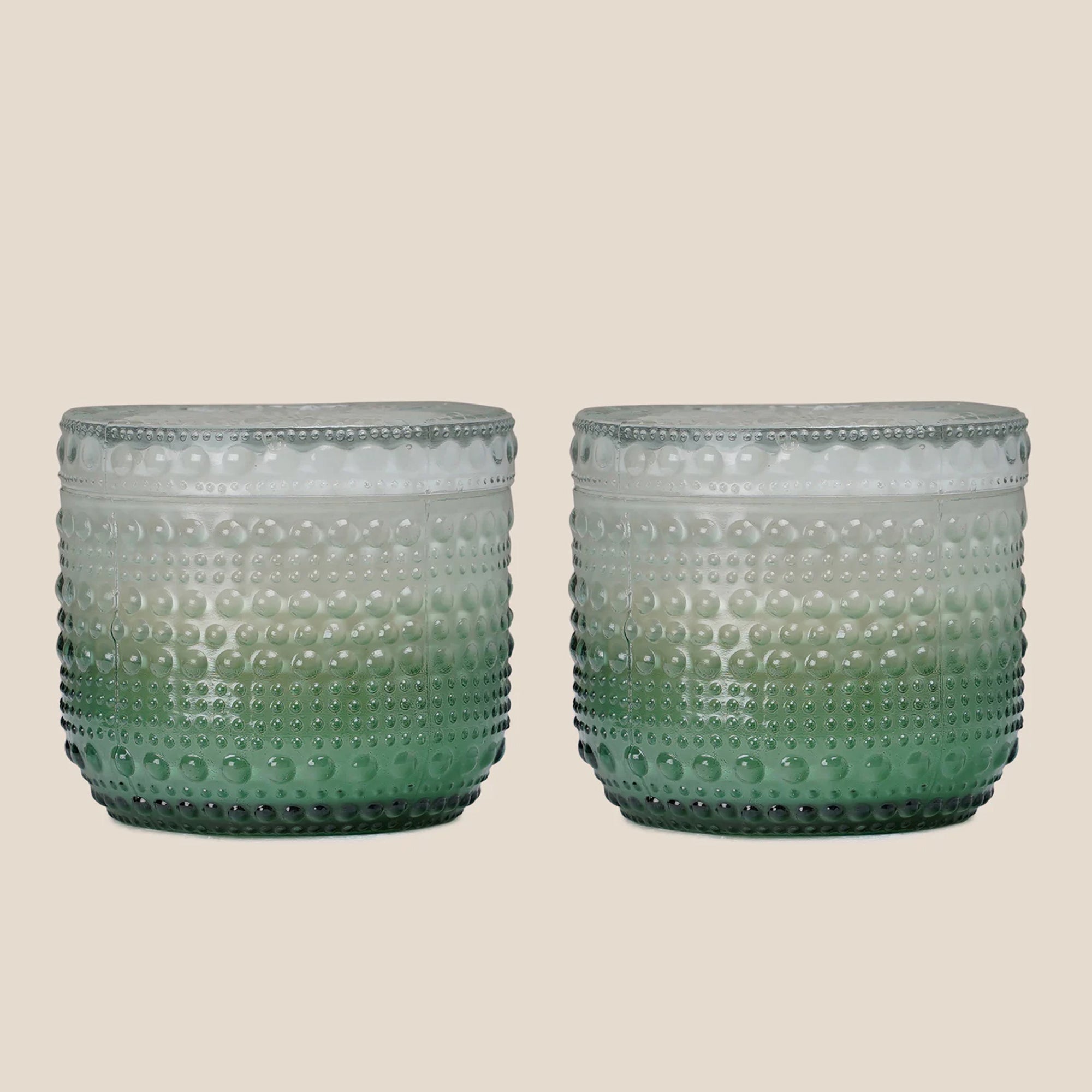 Dimpled Glow Frosted Fern (Set of 2)