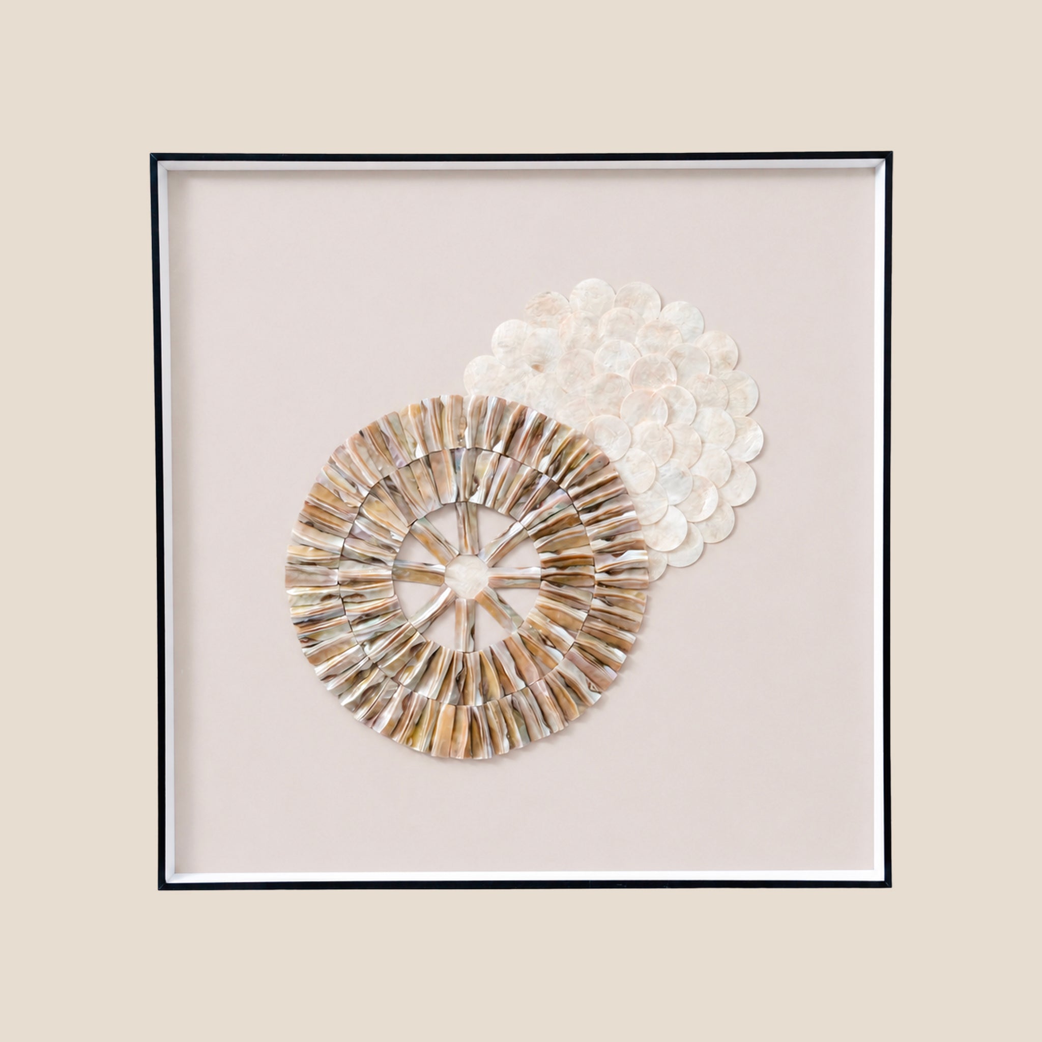 ⁠Oyster Pearl Series -Celestial Orbit