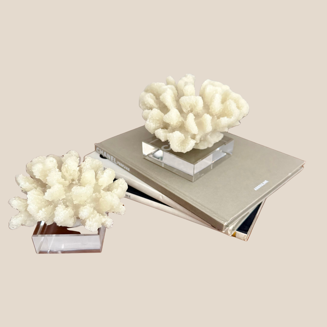 The Coral Bloom - Large