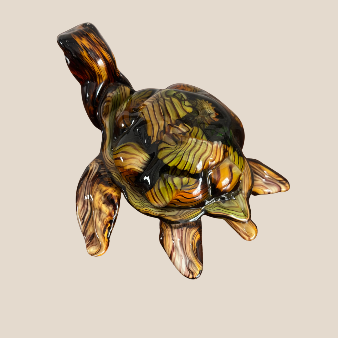 Amber Tide Turtle (Delivery only for DELHI NCR )