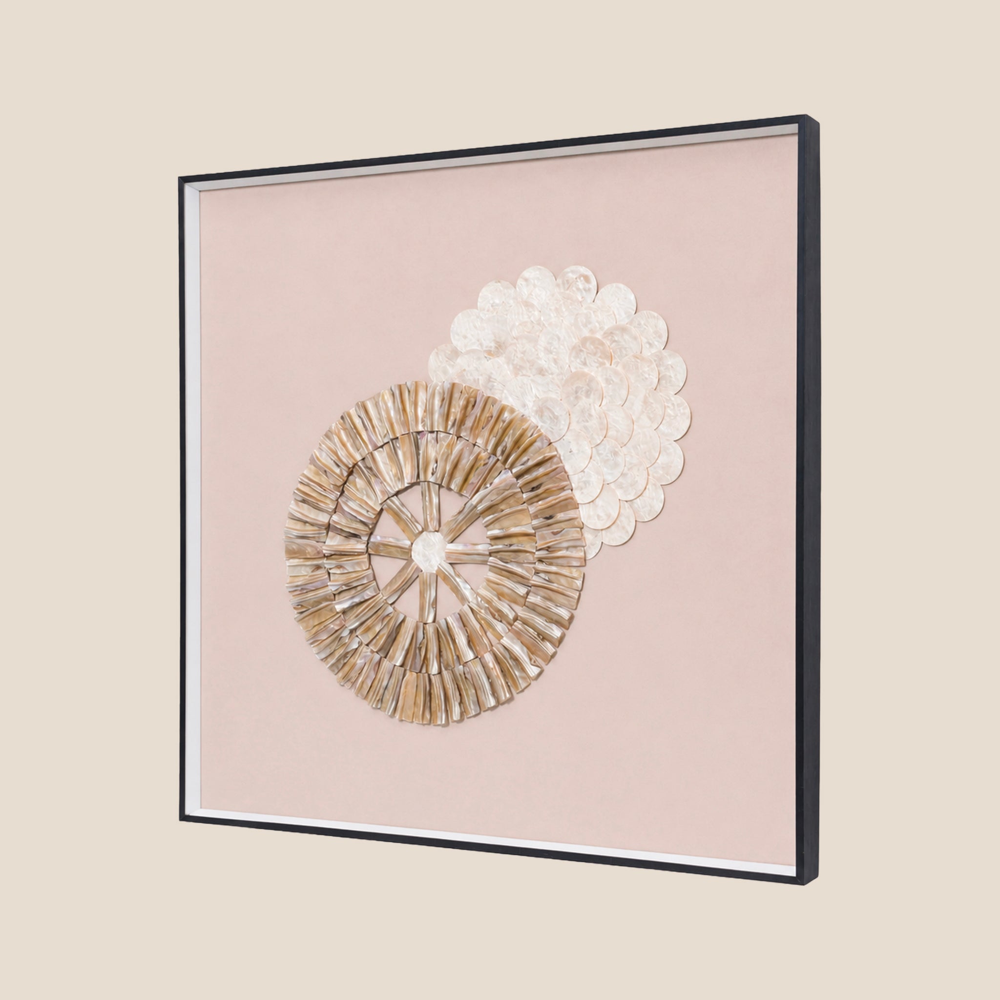 ⁠Oyster Pearl Series -Celestial Orbit