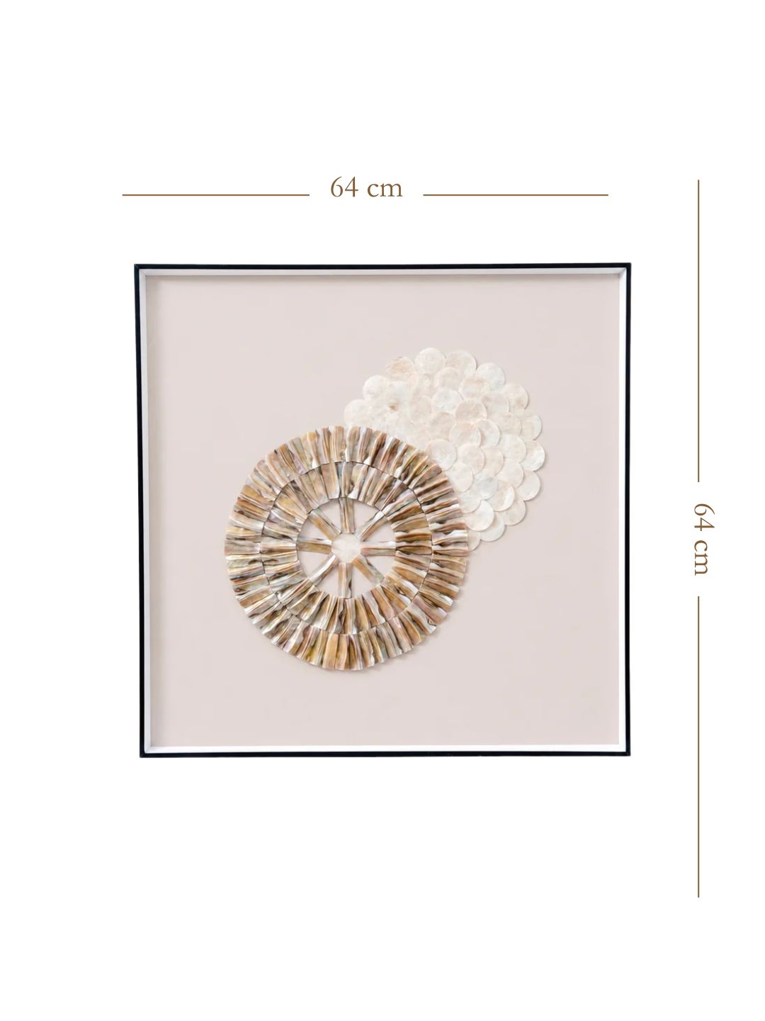 ⁠Oyster Pearl Series -Celestial Orbit