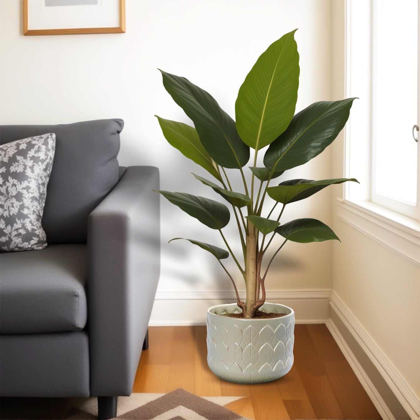 The Grey Leaf  Emboss Planter