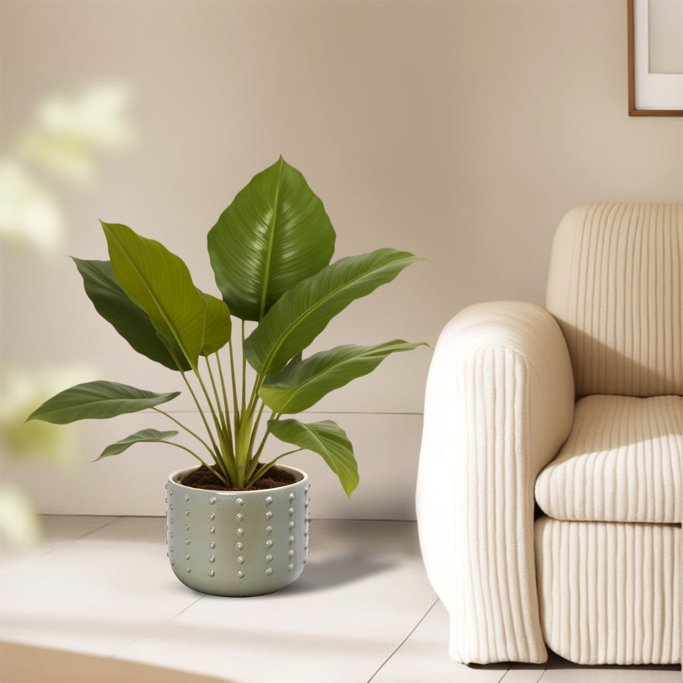 The Grey Pebble Dot Planter - Small