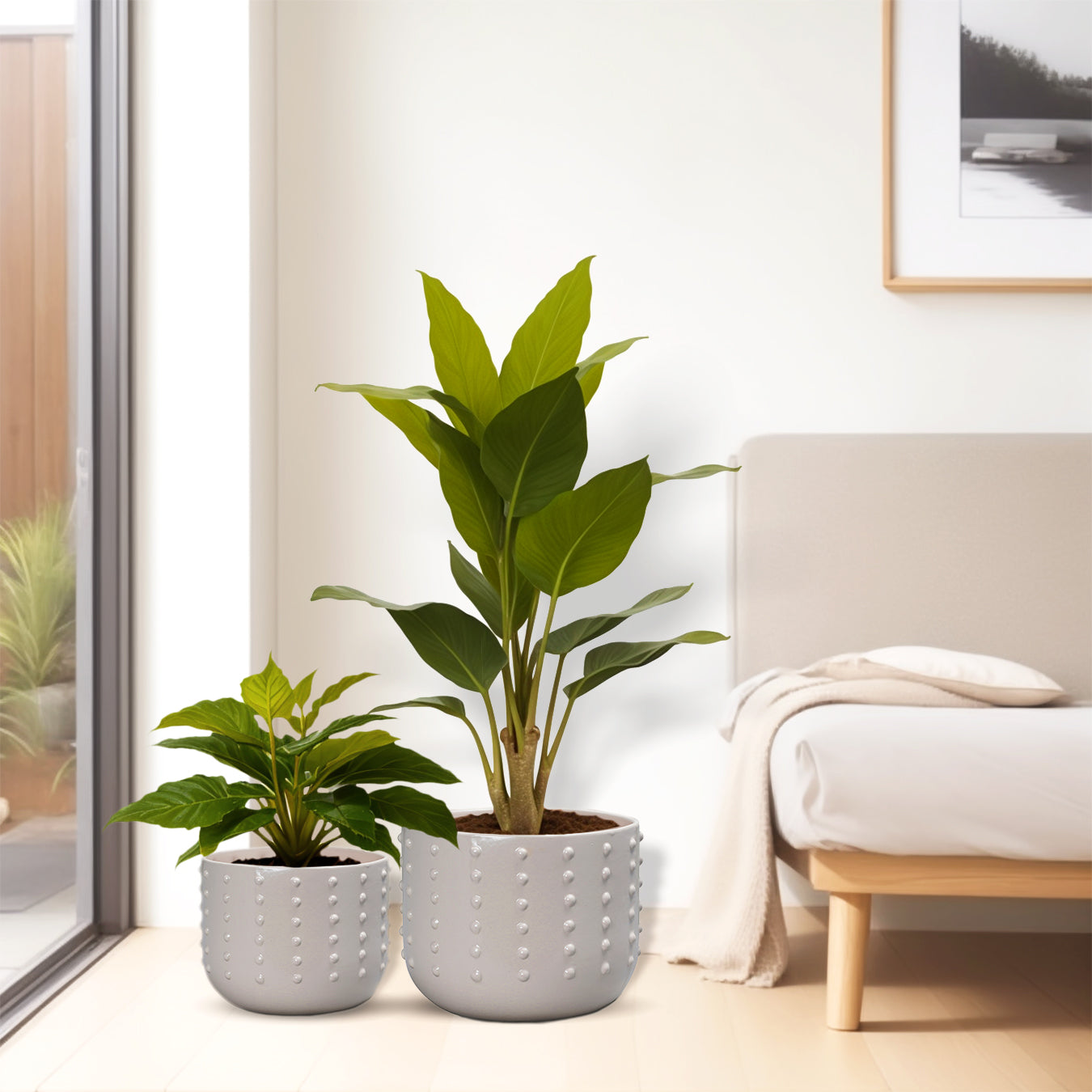 The ivory Pebble Dot Planter - Small